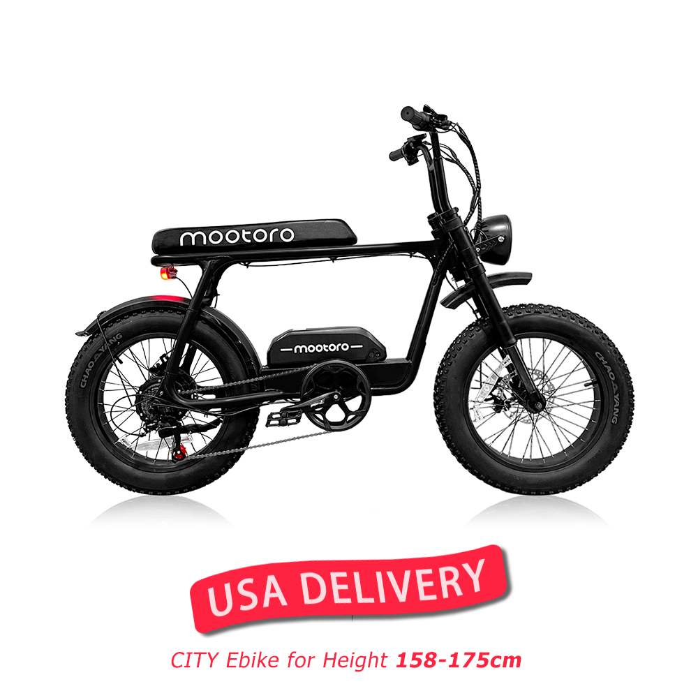 C1 500W & 48V/12.5Ah Best Electric Bike for Beach