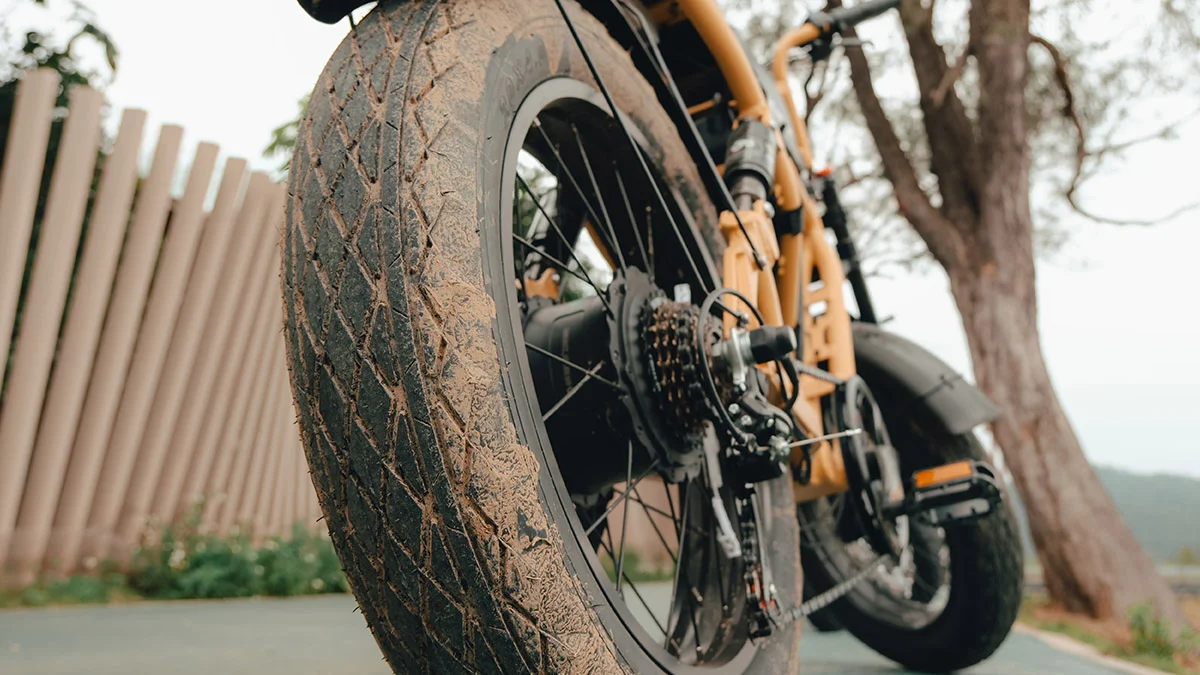Stable and Versatile with Fat Tires - R1S Cruiser