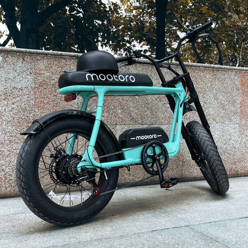 Vintage Ebike